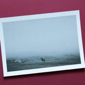 Pocztówka Seyðisfjörður - Islandia